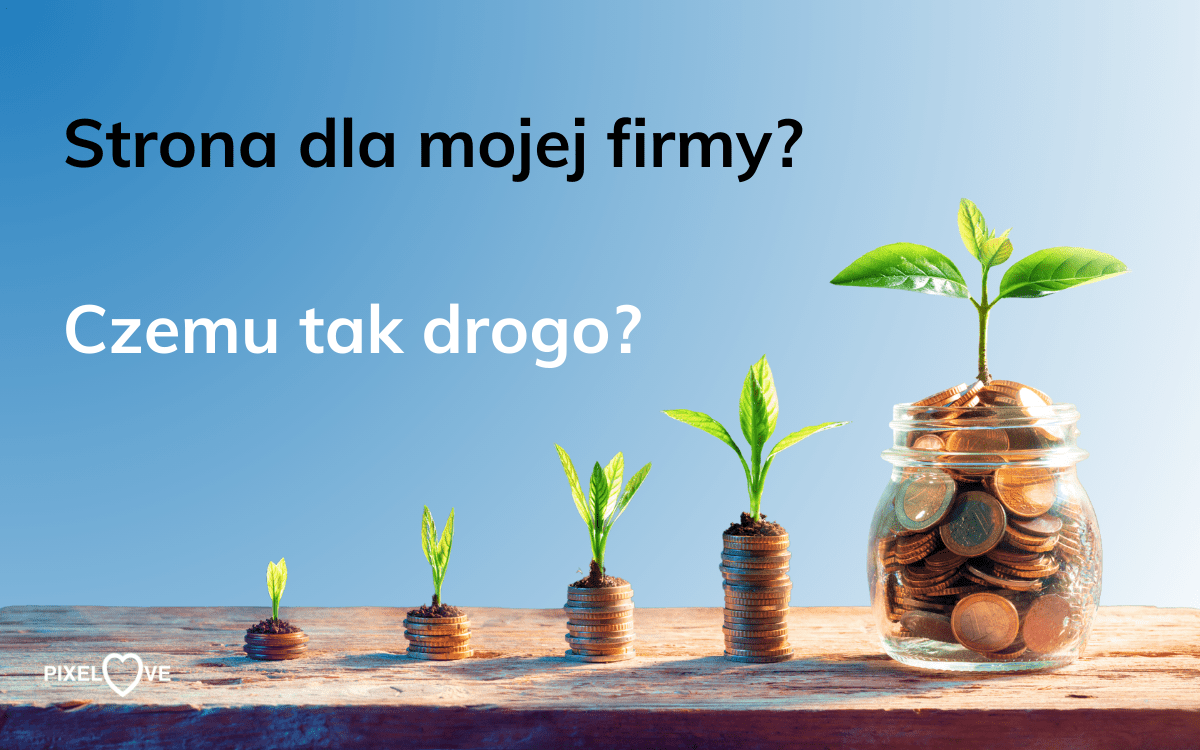 Cena strony internetowej